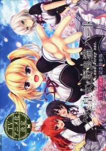 ノラと皇女と野良猫ハート TVアニメ化記念特装版