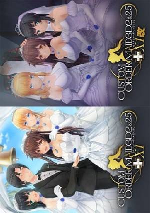 カスタムオーダーメイド3D2＆2.5＋X1&X1改 Wパック