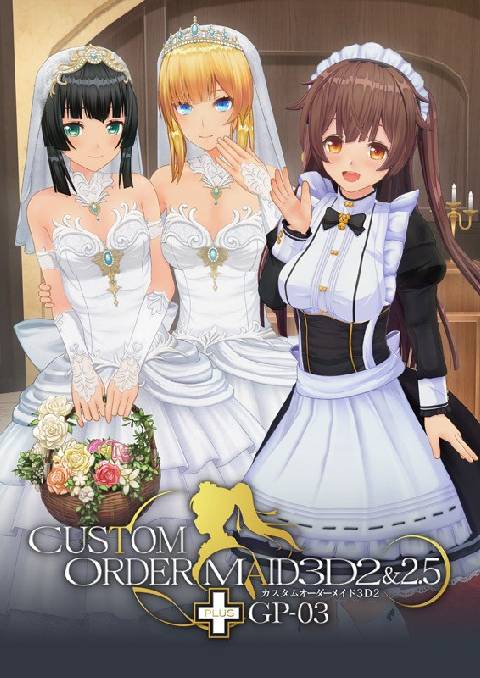 カスタムオーダーメイド3D2＆2.5＋GP-03