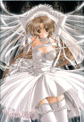 Virgin Bride〜堕ちた花嫁〜