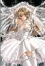 Virgin Bride`ԉŁ`(J)