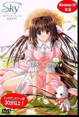 SKY DVD-ROM版(箱痛みＢ−品)