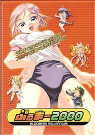 ぶるまー2000(箱痛みＣ品)