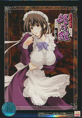 終の館 〜罪と罰〜(第三巻)(箱痛みＢ−品)