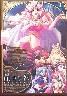 ̉̕P DVD-ROM 