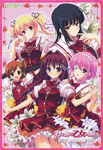 君を仰ぎ乙女は姫に(箱痛みＣ品)