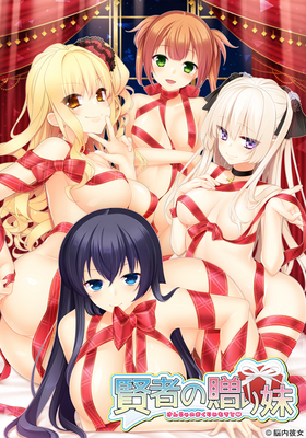 賢者の贈り妹(箱痛みＣ品)