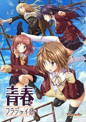 青春フラジャイル(箱痛みＣ品)
