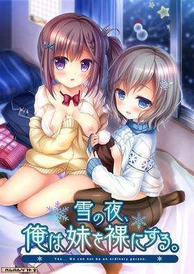 雪の夜、俺は妹を裸にする。(箱痛みＣ品)