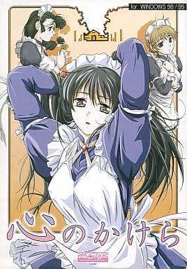 心のかけら(箱痛みＣ品)
